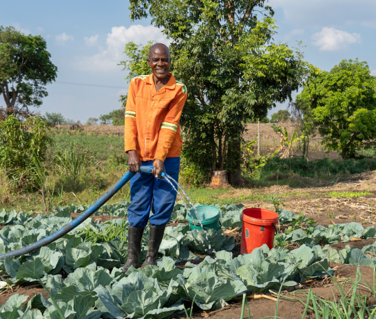A man in orange top, blue pants and boots watering vegetables on a plot of land.